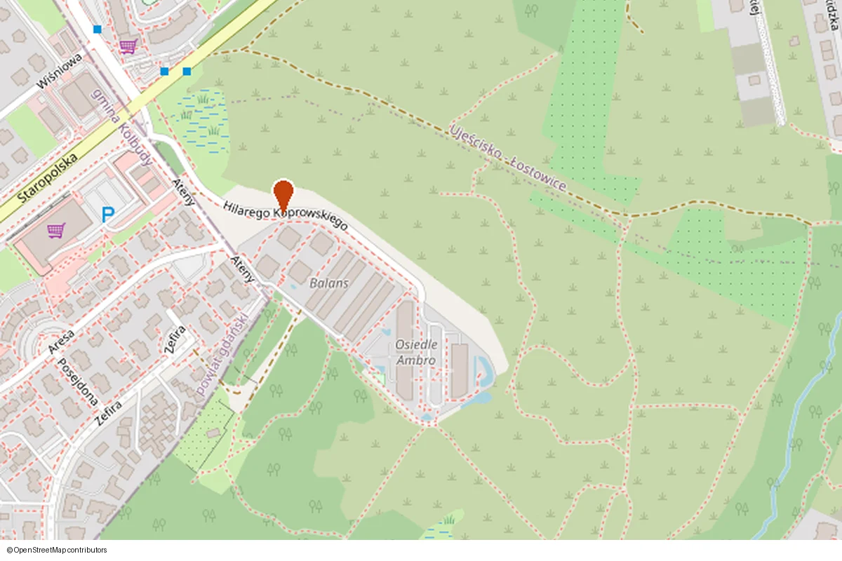 Mapa: ul. Koprowskiego 19/10, Gdańsk